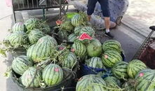 井陉吃瓜最新事件爆料,揭秘背后真相与争议焦点